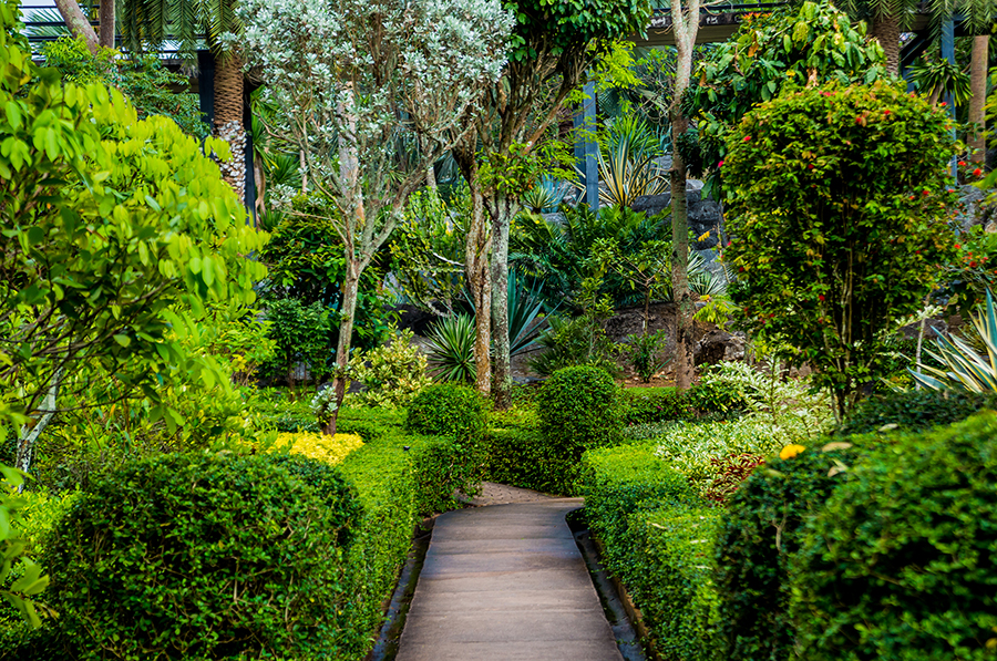 Landscape Design Springfield Missouri