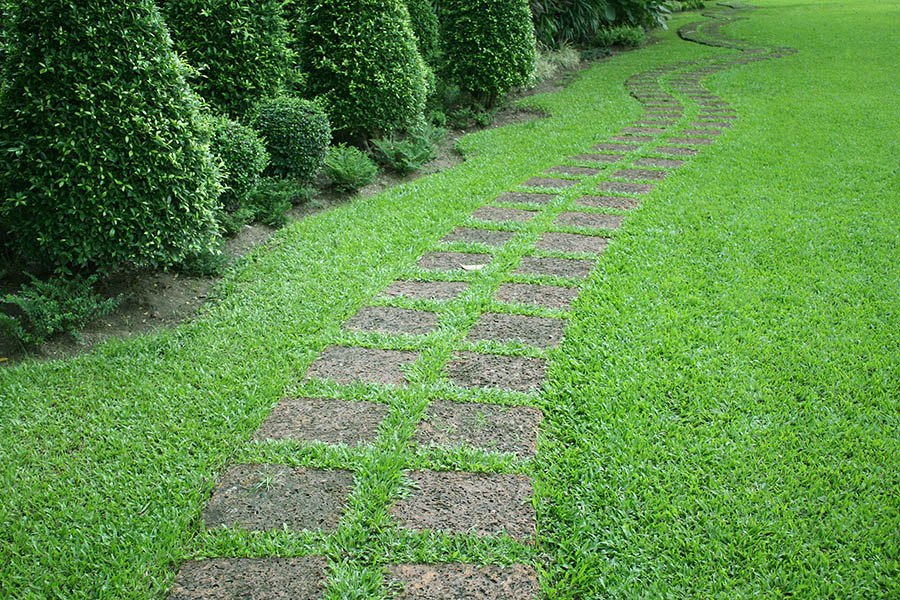 Stone Pathway Lawn Care Service