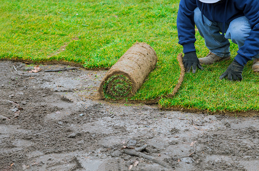 Sod Installation