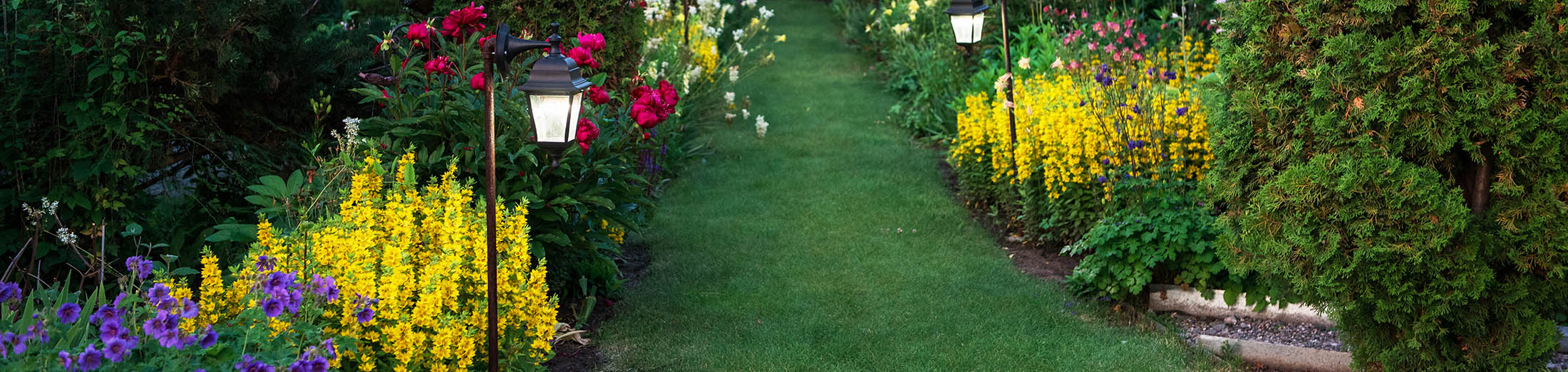 Lawn Care Services Nixa Missouri