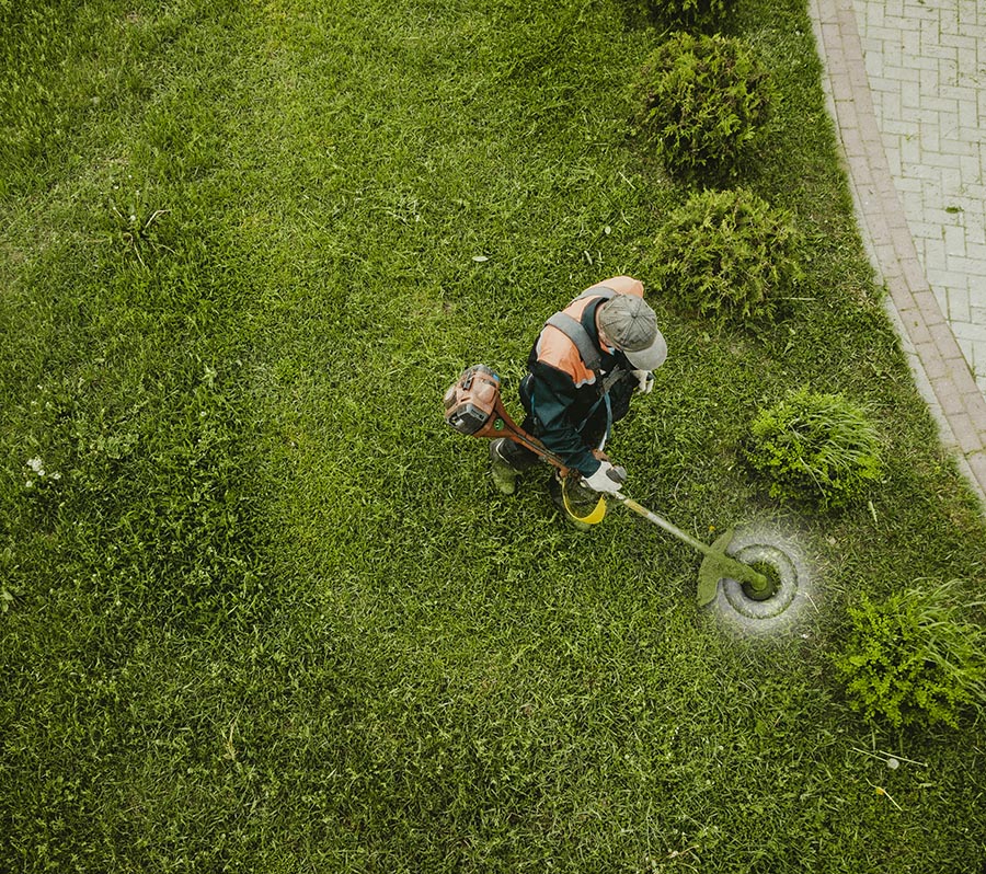 Why-Choose-Earthworks-Gardens-for-Hydroseeding